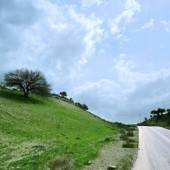 Bovan Gorge (Tang-e Bovan) - Fars Province