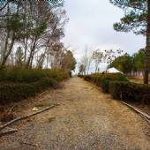 Wooden Village (Choobin) - Nishabur (Khorasan Razavi)