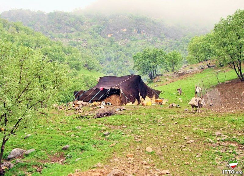 nomads of iran,IRAN Nomad Tours,Travel in IRAN with Nomads,Nomadic Tribes in Iran