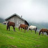 Olesbelangah Village - Masal (Gilan Province)