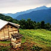 Olebelanga Village - Masal (Gilan Province)
