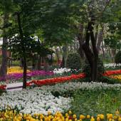 Persian Garden - Tehran