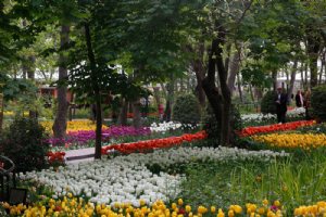 Persian Garden - Tehran