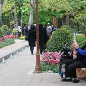 Iranian Garden - Tehran