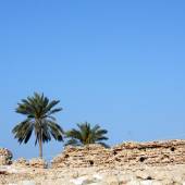 Qeshm Portuguese Castle - Persian Gulf (Hormozgan)