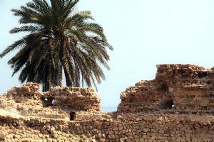 Qeshm Portuguese Castle - Persian Gulf (Hormozgan)