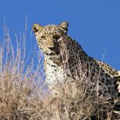 Golestan National Park