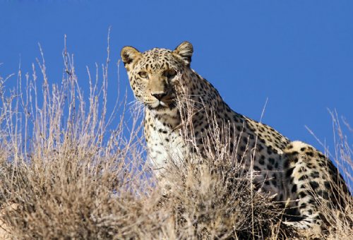 Golestan National Park in Gorgan