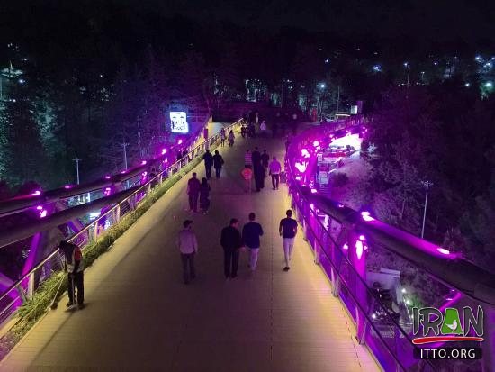 Tbi'at Bridge,Nature Bridge,Pol-e Tabiat,پل طبیعت,tehran,تهران,poltabiat,pole tabiat,pooletabiat,poltabyat,tabiat,pol-e-tabiat