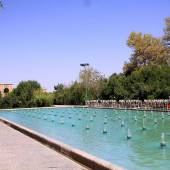 Sadri Garden (Namir) - taft