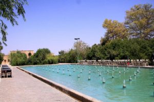 Sadri Garden (Namir) - taft