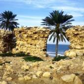 Qeshm Portuguese Castle - Persian Gulf (Hormozgan)