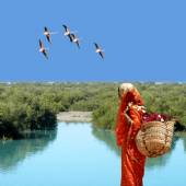 Hara Forest - Qeshm Island