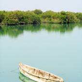 Hara Forest Protected Area in Qeshm Island