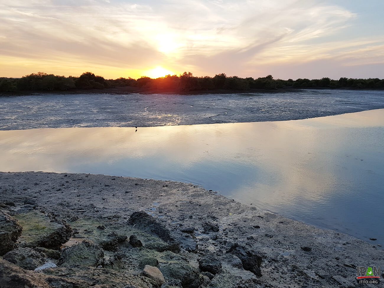 ,جنگلهای حرا قشم,grey mangrove,white mangrove,جزیره قشم,khalijfars,khalije fars,خلیج فارس,persiangulf,persian gulf,arabian gulf,hormozgan,hormuzgan,iran south,south of iran