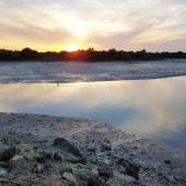 Hara Forest Protected Area in Qeshm Island