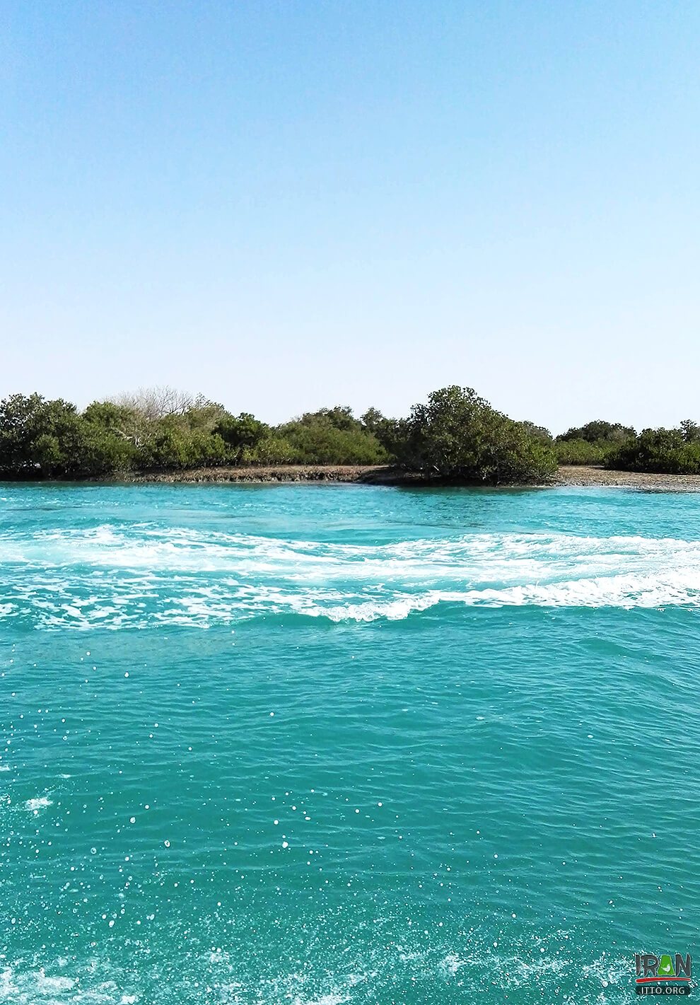 ,جنگلهای حرا قشم,grey mangrove,white mangrove,جزیره قشم,khalijfars,khalije fars,خلیج فارس,persiangulf,persian gulf,arabian gulf,hormozgan,hormuzgan,iran south,south of iran