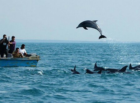 Qeshm Island - Persian Gulf
