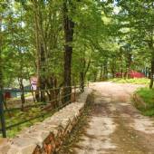 Ramsar - Mazandaran Province