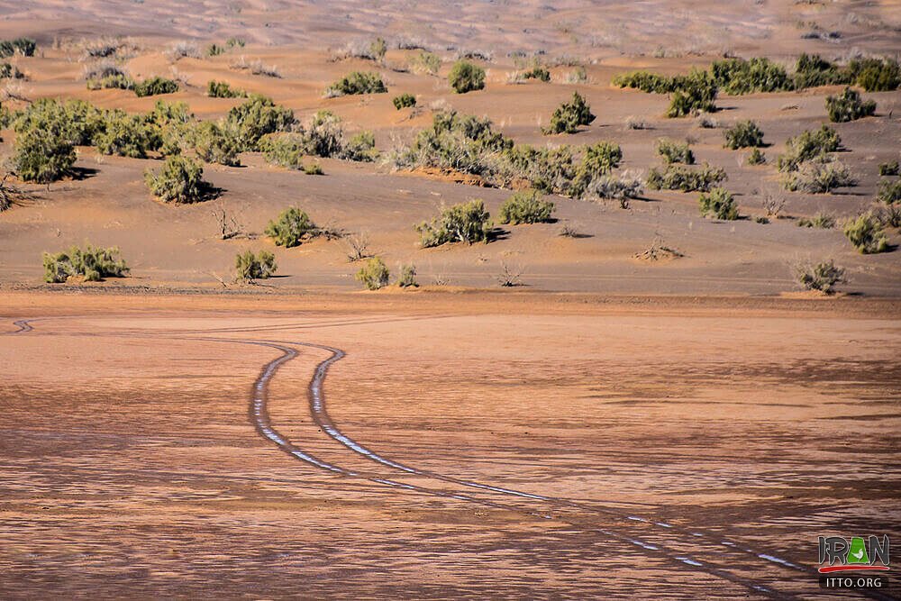 Dune of the Jinn,Kavir-e Jen,The genies’ dune,Rigjen Desert,Dune of the Jenn,Dune of the Jin,کویر ایران,iran desert,iran kavir,isfahan desert,garmsar,semnan province,natural attraction,iran kavir,kavir rige jen,کویرایران,ایران کویر,safari,offroad,off road,iran dune,kavire jen,کویرجن,کویر جن,ریگ جنی,کویرجنی,کویر جنی,مثلث برمودا ایران,bermudairan,iranbermuda,iran bermuda,kavir jinn,kavirejen,kavir jen