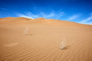 Rig-e Jenn, Desert of Spirits (Dune of the Jinn)