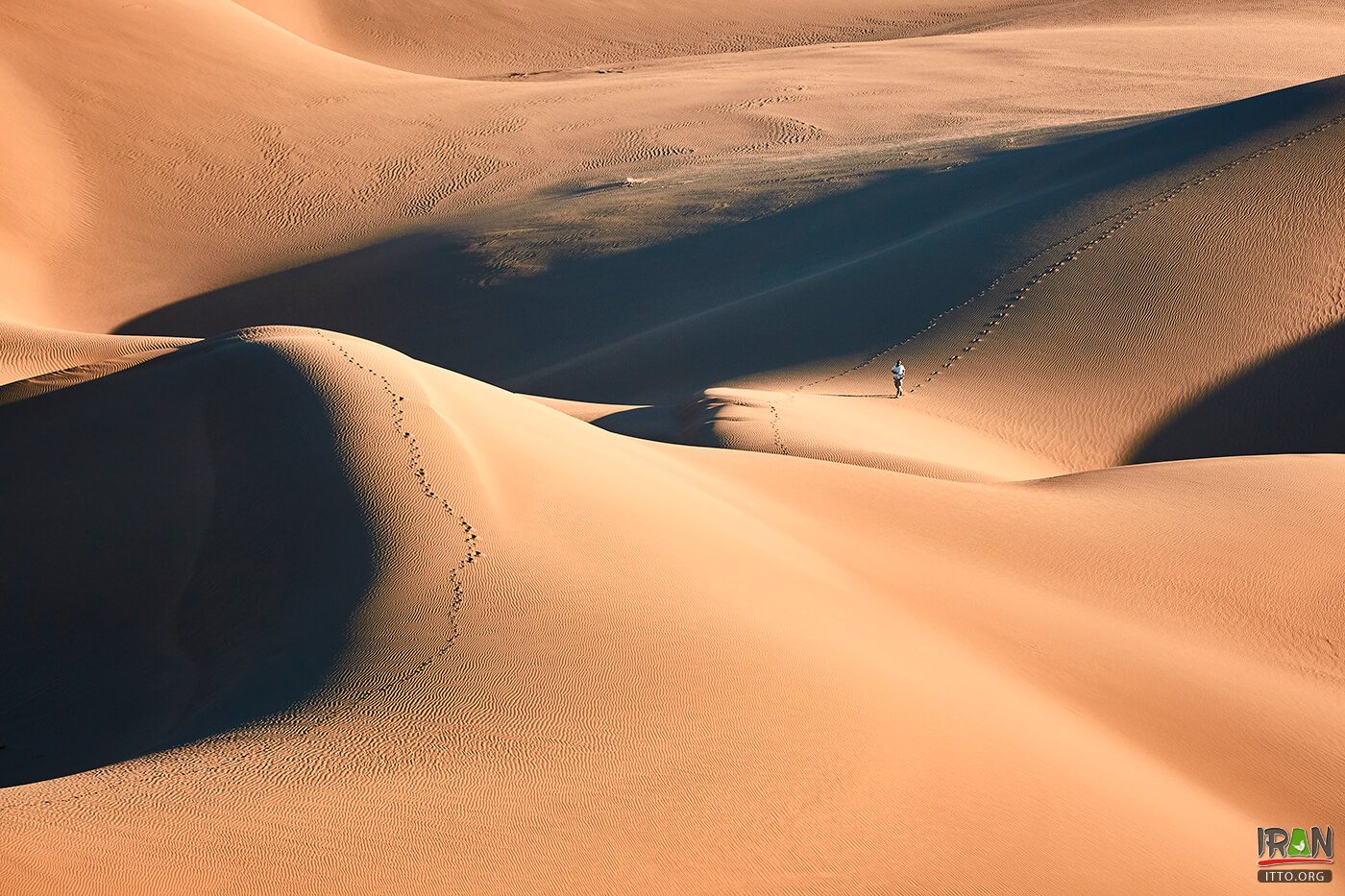 Dune of the Jinn,Kavir-e Jen,The genies’ dune,Rigjen Desert,Dune of the Jenn,Dune of the Jin,کویر ایران,iran desert,iran kavir,isfahan desert,garmsar,semnan province,natural attraction,iran kavir,kavir rige jen,کویرایران,ایران کویر,safari,offroad,off road,iran dune,kavire jen,کویرجن,کویر جن,ریگ جنی,کویرجنی,کویر جنی,مثلث برمودا ایران,bermudairan,iranbermuda,iran bermuda,kavir jinn,kavirejen,kavir jen