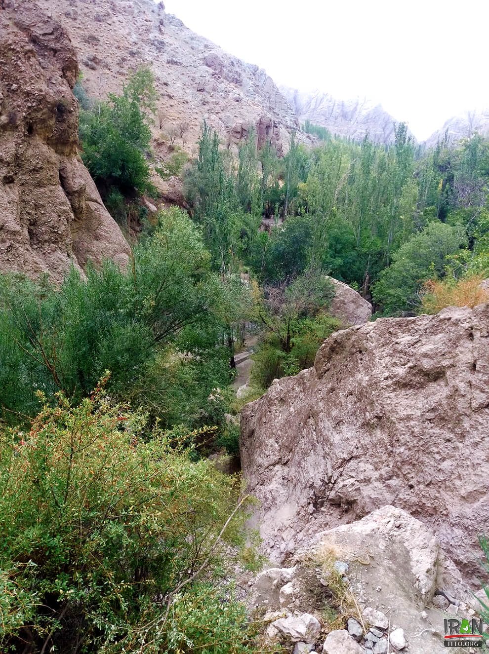 RudMajan Waterfall,Abshar Rood Majan,Waterfall of Rud Majan,آبشار رودمجن,آبشار رودمعجن,تربت حیدریه,torbat heidarieh,turbatheydarieh,khorasan razavi,khorasan waterfall,iran waterfall,rood majan waterfall,roudmajan waterfall,abshare roode majan,abashar rodmajan,rodmajan waterwall,رودمجن,torbat nature,torbateheydarieh,torbatheydarieh waterfall,آبشار تربت حیدریه
