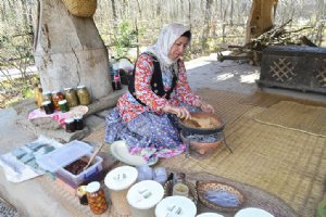 Gilan Rural Heritage Museum near Rasht