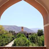 Sadri Garden (Namir) - taft