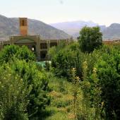 Sadri Garden (Namir) - taft