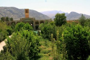 Sadri Garden (Namir) - taft
