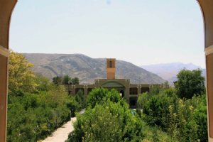Sadri Garden (Namir) - taft