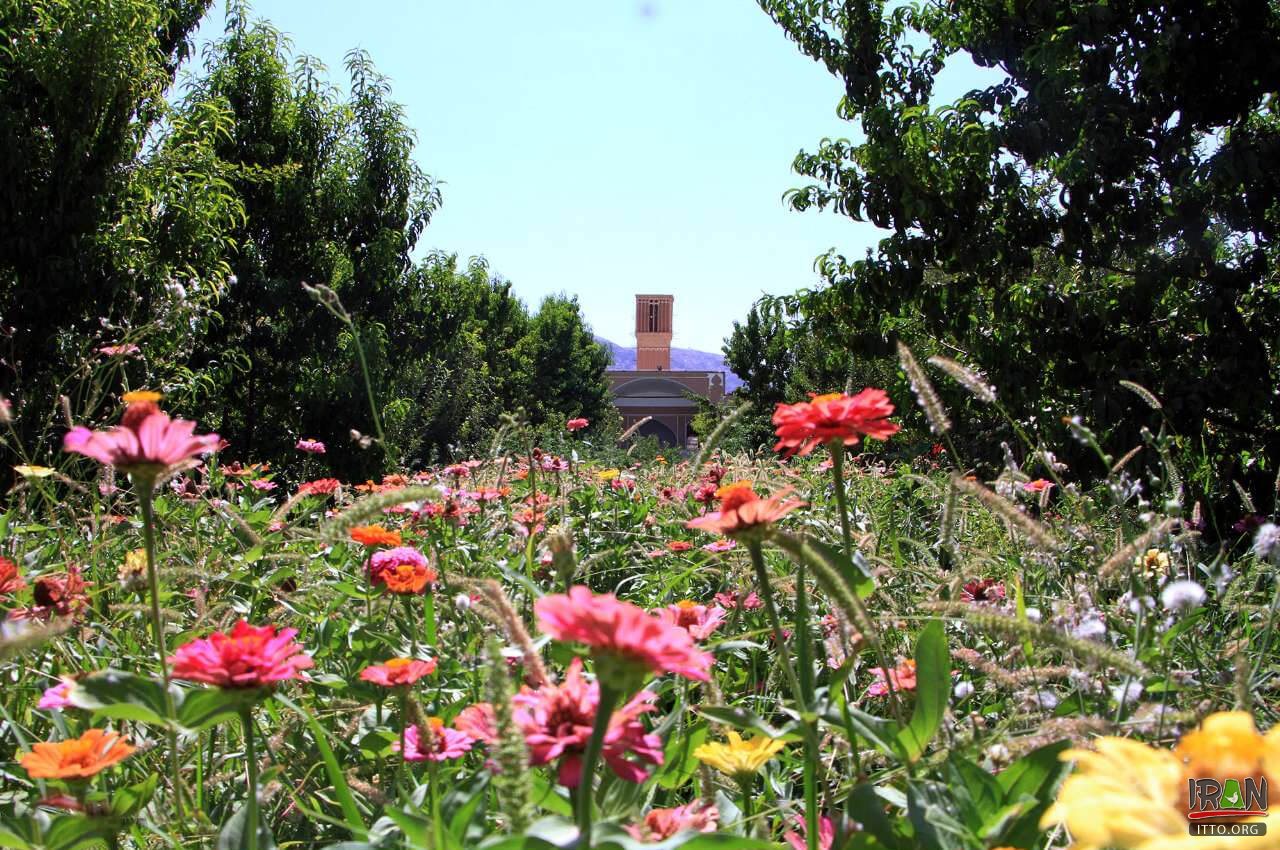 Bagh-e Namir,Sadri Garden,Namir Garden,باغ و عمارت صدری,عمارت نمیر,باغ نمیر تفت,taft garden,bagh namir,bagh sadri