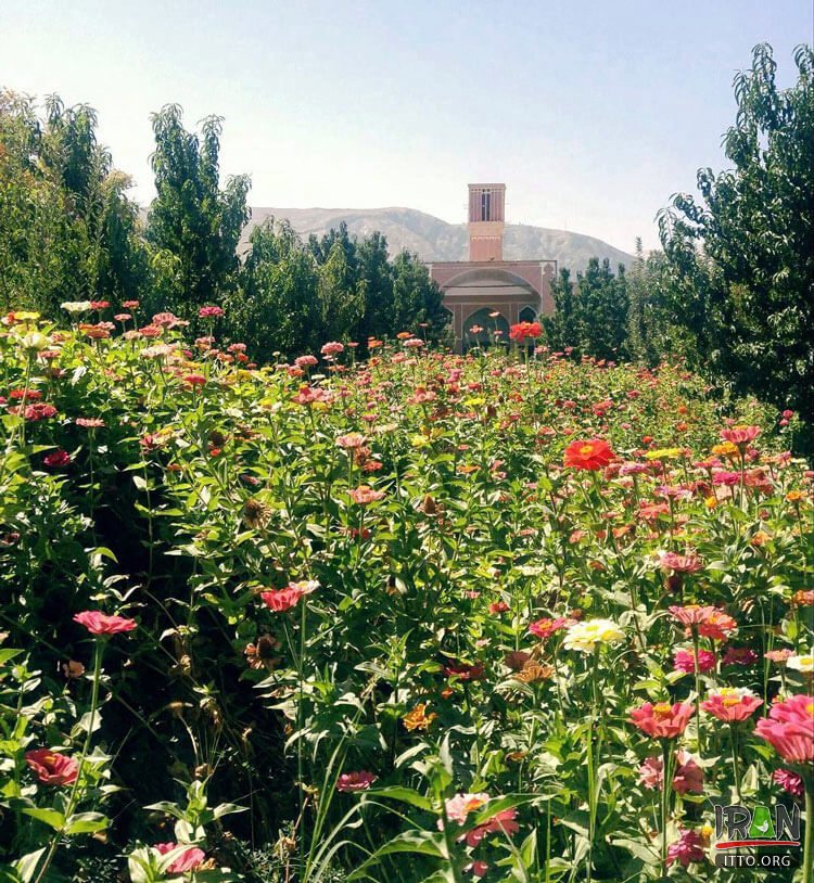 Bagh-e Namir,Sadri Garden,Namir Garden,باغ و عمارت صدری,عمارت نمیر,باغ نمیر تفت,taft garden,bagh namir,bagh sadri