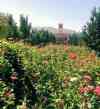 Bagh-e Namir,Sadri Garden,Namir Garden,باغ و عمارت صدری,عمارت نمیر,باغ نمیر تفت,taft garden,bagh namir,bagh sadri