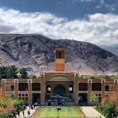 Sadri Garden (Namir) - taft