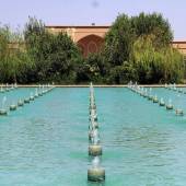 Sadri Garden (Namir) - taft