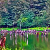 Saqalaksar Lake