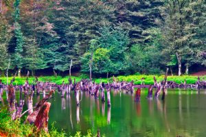 Saqalaksar Lake