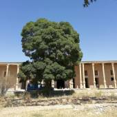 Shalamzar Castle (Samsam-o-Saltane) near Shahr-e-Kurd