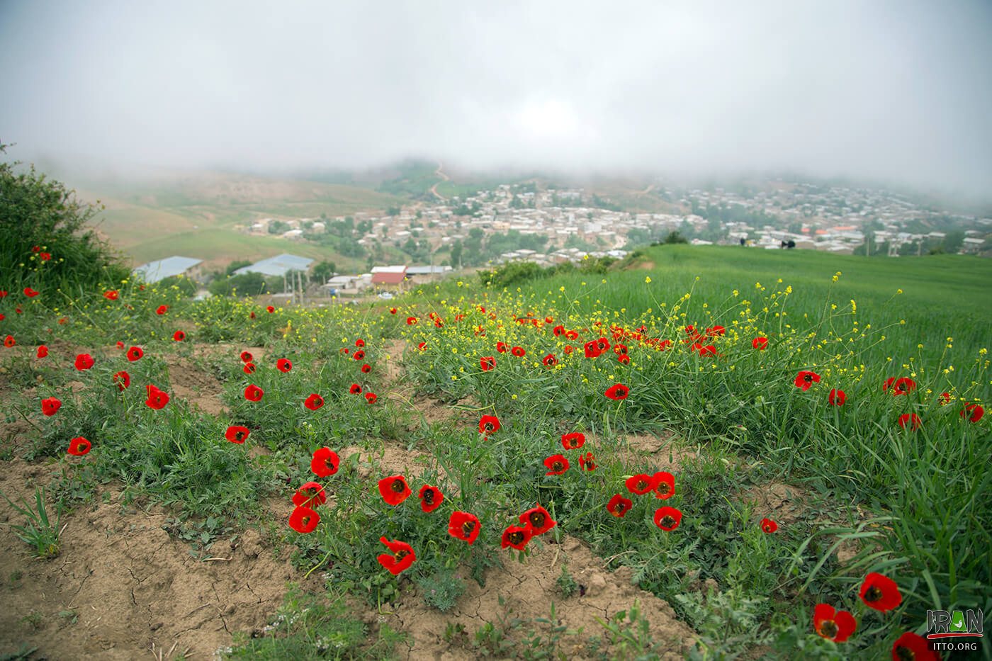 Villages near semnan,Padeh Village,Shahmirzad,Darjezin,Ahovan,روستای سمنان,روستاهای استان سمنان,درجزین,villages of semnan