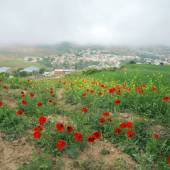 Semnan Villages