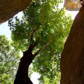 Shirz Canyon (Shirez Valley)