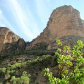 Shirz Canyon - Zagros Mountains