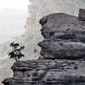 Shirz Canyon