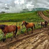 Village of Sobatan (Subatan) - Talesh