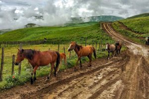 Village of Sobatan (Subatan) - Talesh