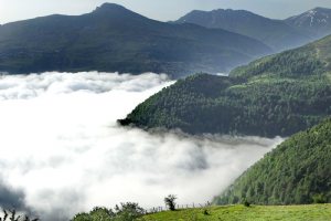 Summer in Filband Village