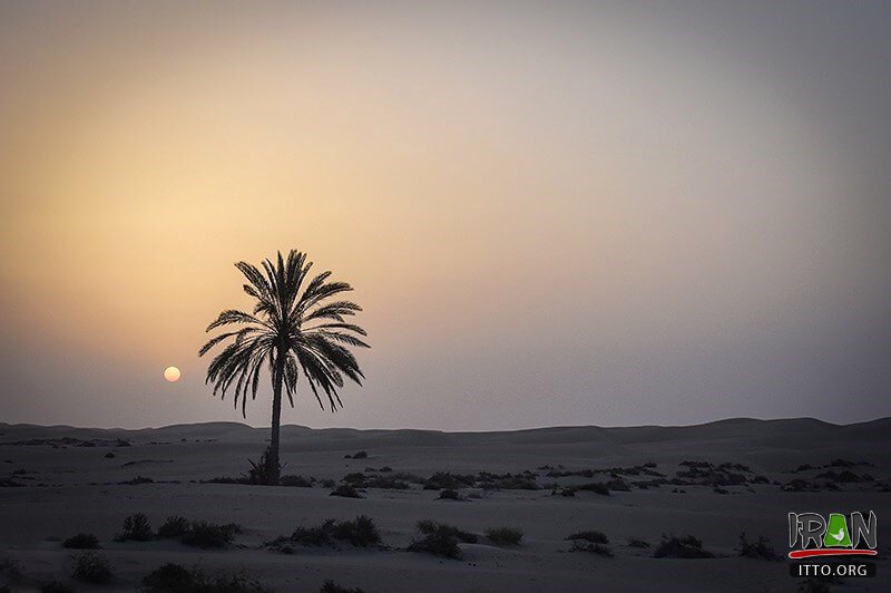 Darak Beach,Sahel-e Darak,Zarabad County,konarak,sistan,balochestan,balouchestan,darak beach,ساحل درک,روستا درک,روستادرک,چابهار,chabahar beach