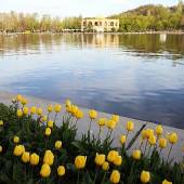 Eil Goli (Shahgoli) park - Tabriz